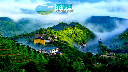 茶香漫山巒，文旅譜新篇——宜賓市敘州區天宮山茶旅融合開發項目有序推進